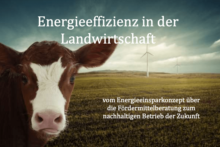 Das Titelbild des Ratgebers für mehr Energieeffizienz in der Landwirtschaft von Michael Wühle