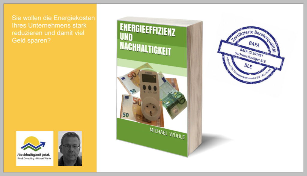 Das Bild zeigt das eBook ‘Energieeffizienz und Nachhaltigkeit‘ von Michael Wühle, zertifizierter Energieberater von BAFA und BLE
