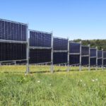Photo eines Solarzaun: Blumenwiese vor den senkrecht aufgeständerten Photovoltaikmodulen