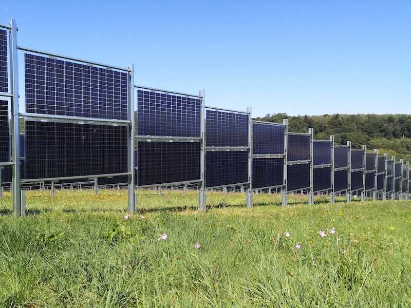 Photo eines Solarzaun: Blumenwiese vor den senkrecht aufgeständerten Photovoltaikmodulen
